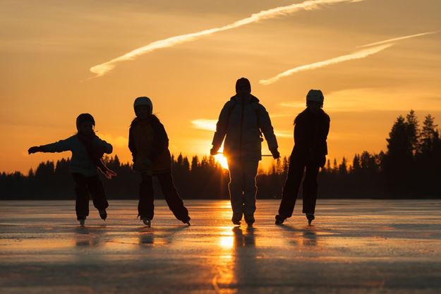 Picture of Family Night Skate