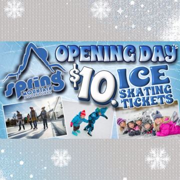 Picture of Public Skating